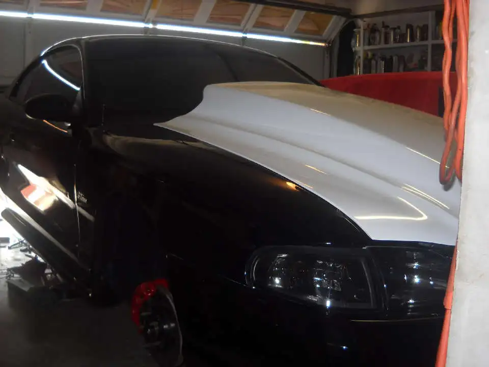 DSCN0971.webp