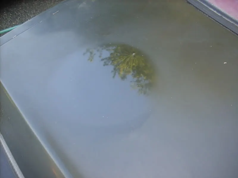DSCN0971.webp