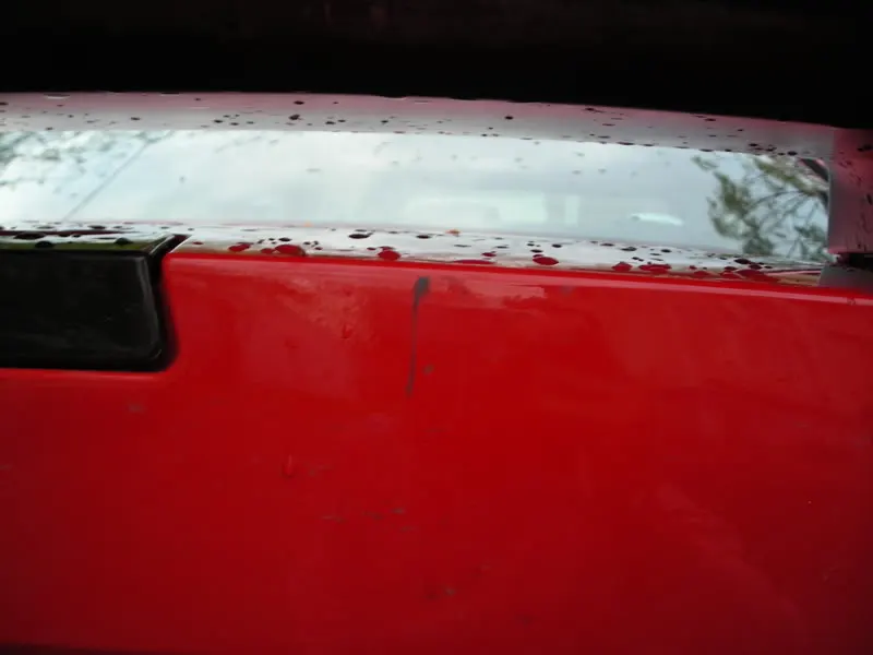 DSCN0972.webp