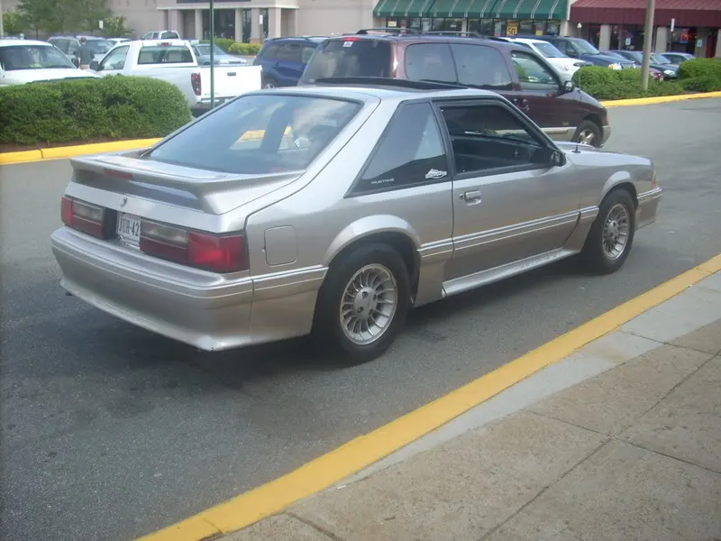 DSCN0973.webp
