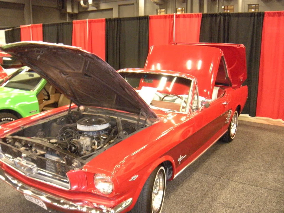 DSCN0978.webp