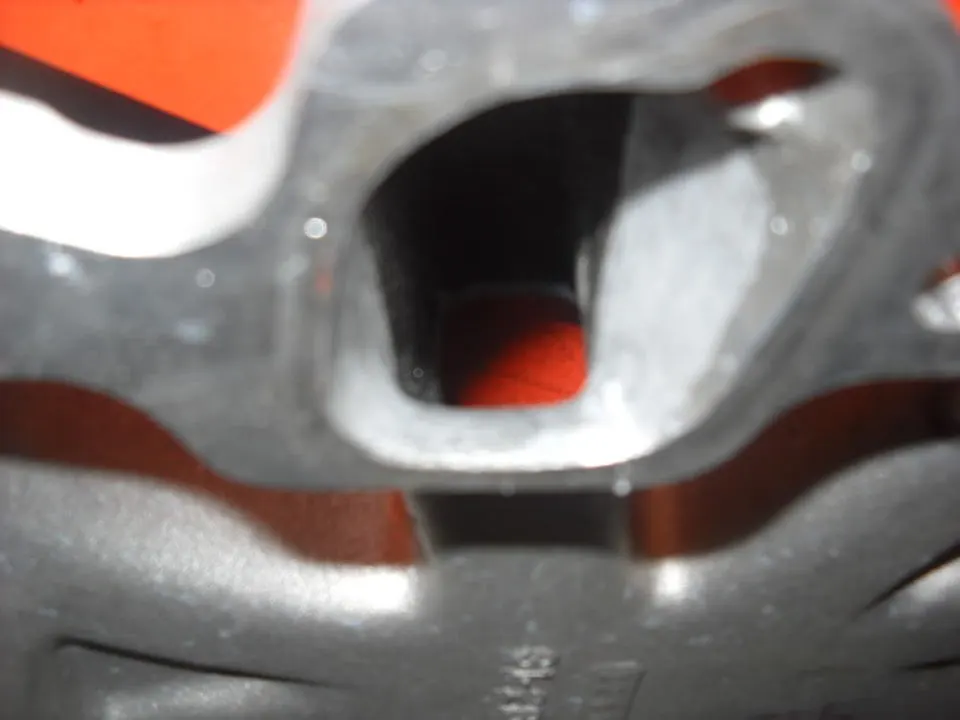 DSCN0979.webp