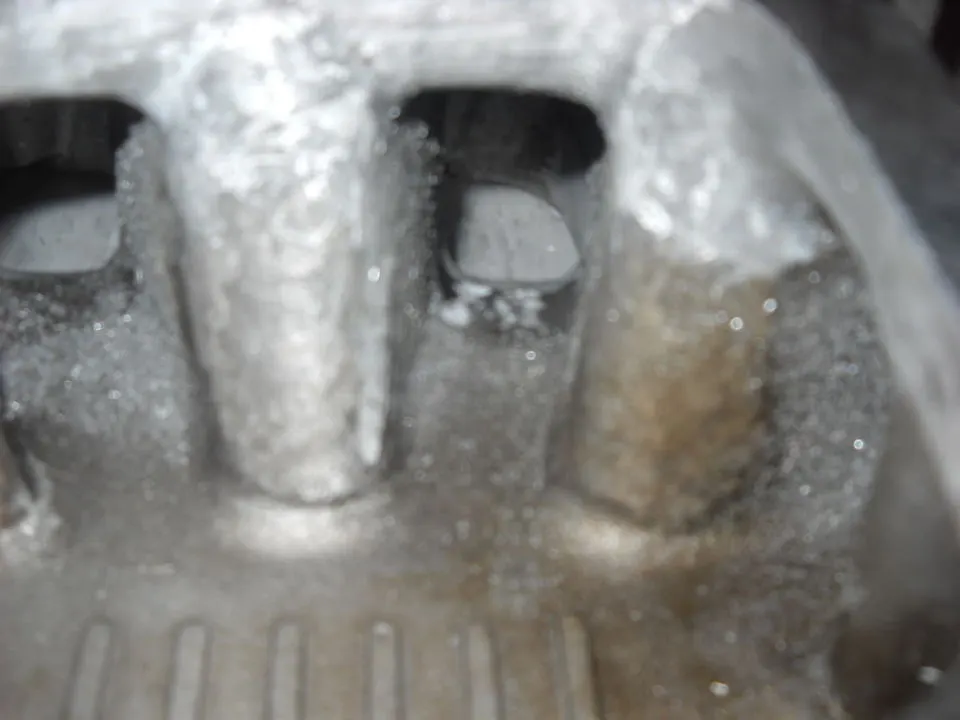 DSCN0987.webp