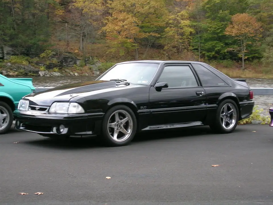 DSCN0989.webp