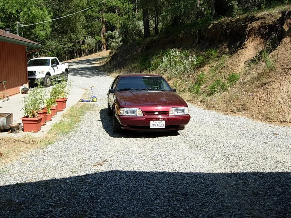 DSCN1008.webp