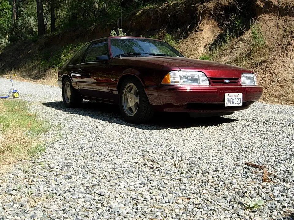 DSCN1011.webp