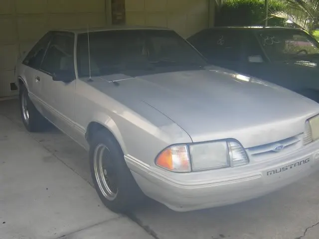 DSCN1012.webp