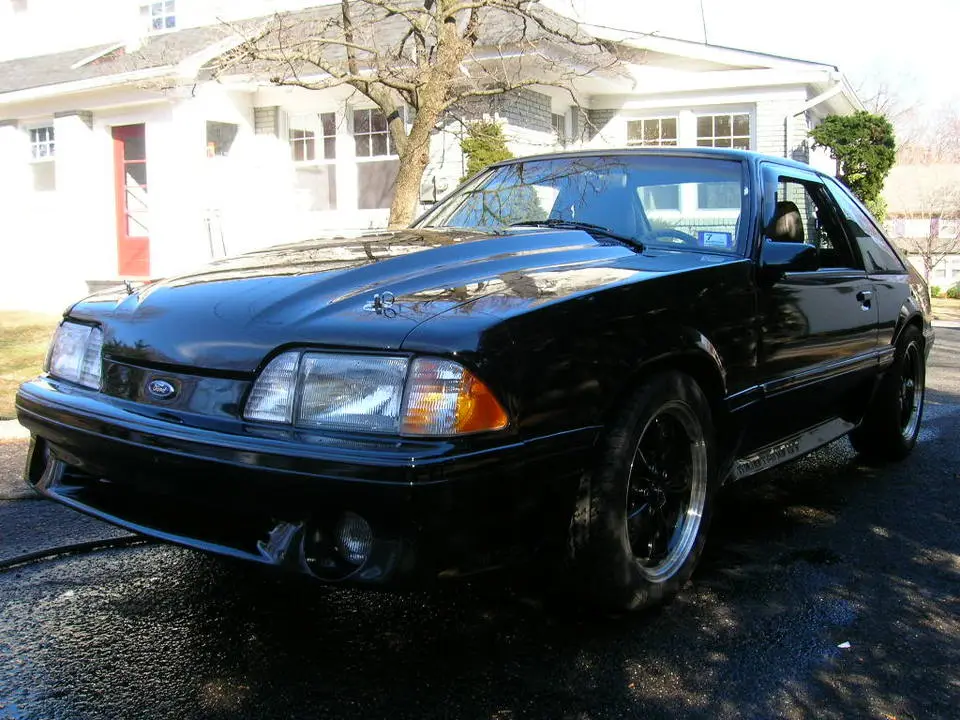 DSCN1014.webp