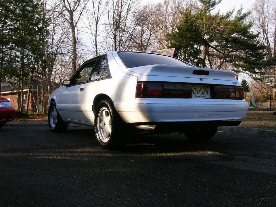 DSCN1033.webp