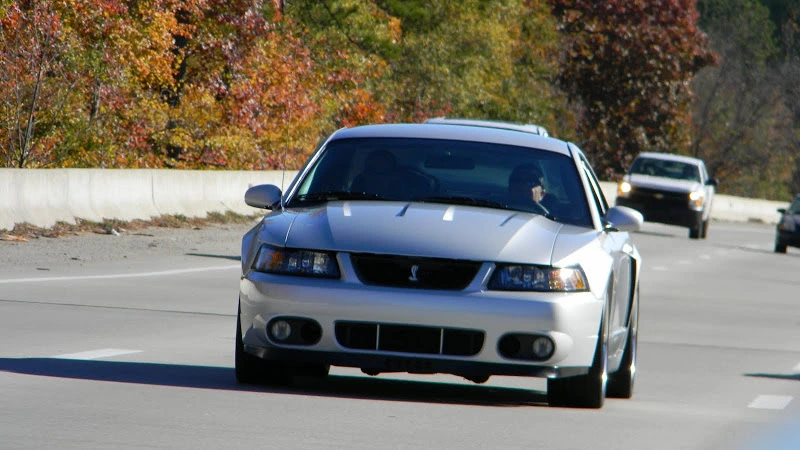 DSCN1037.webp