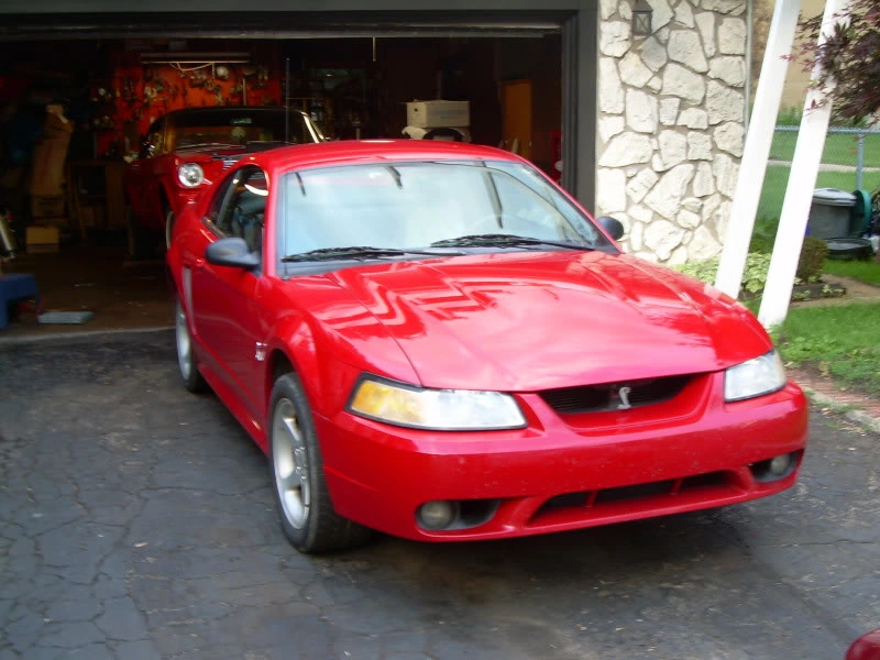 DSCN1048.webp