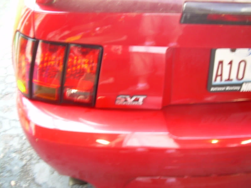 DSCN1051.webp