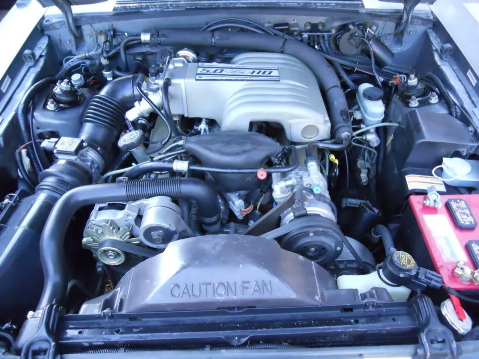 DSCN1057.webp