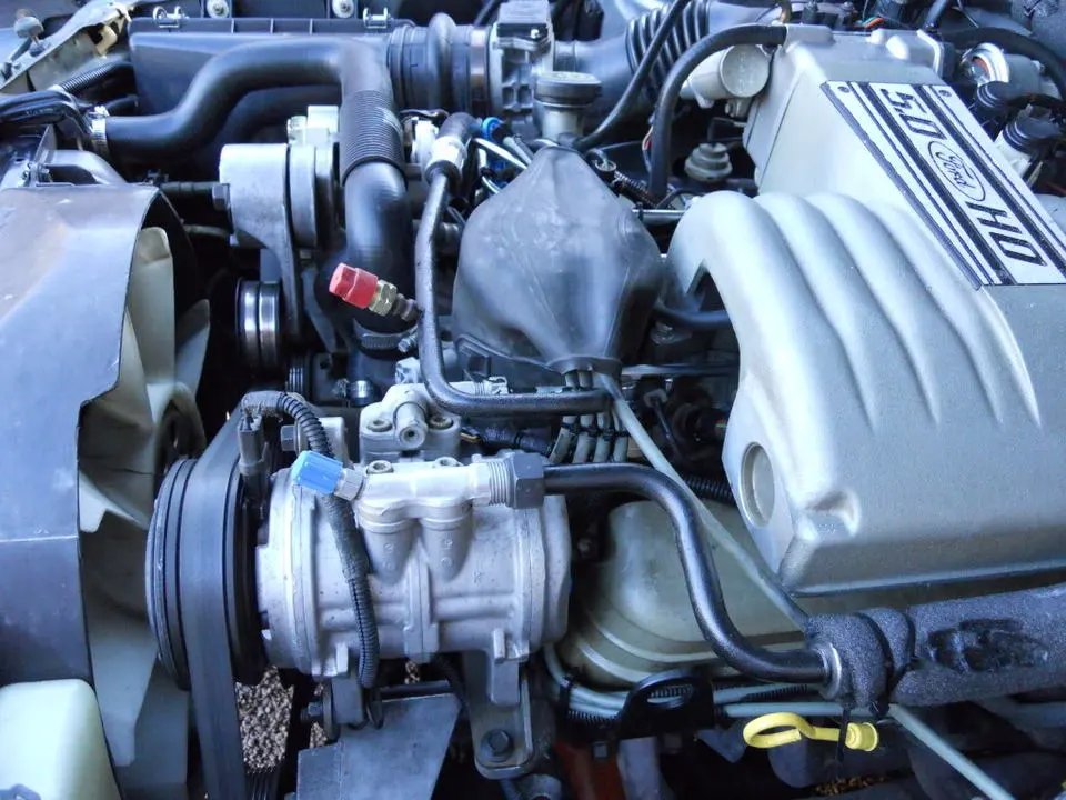 DSCN1058.webp