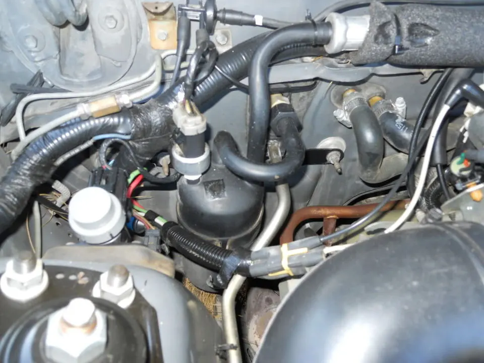 DSCN1061.webp