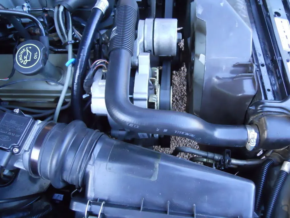 DSCN1062.webp