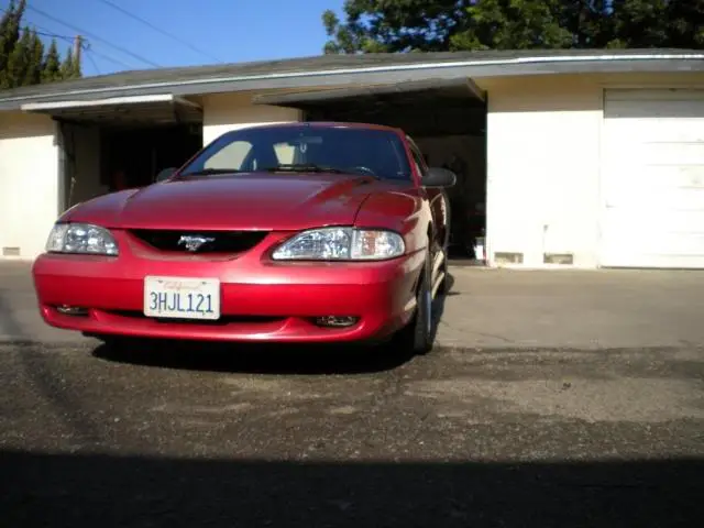 DSCN1068.webp