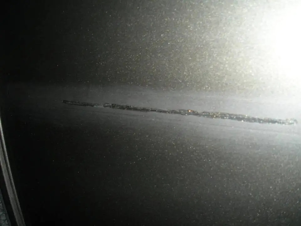 DSCN1077.webp