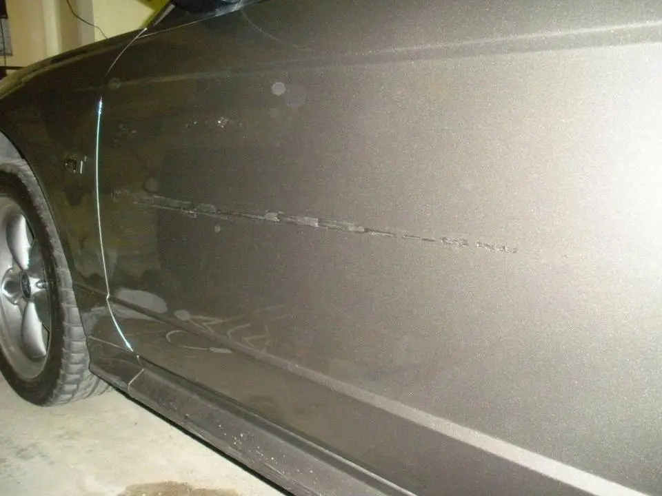 DSCN1079.webp