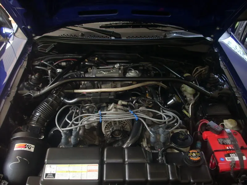 DSCN1079.webp