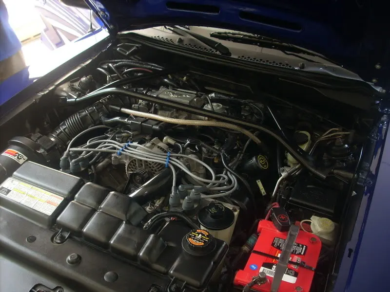 DSCN1081.webp
