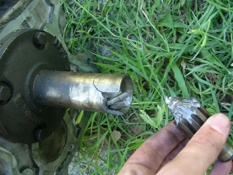DSCN1089.webp