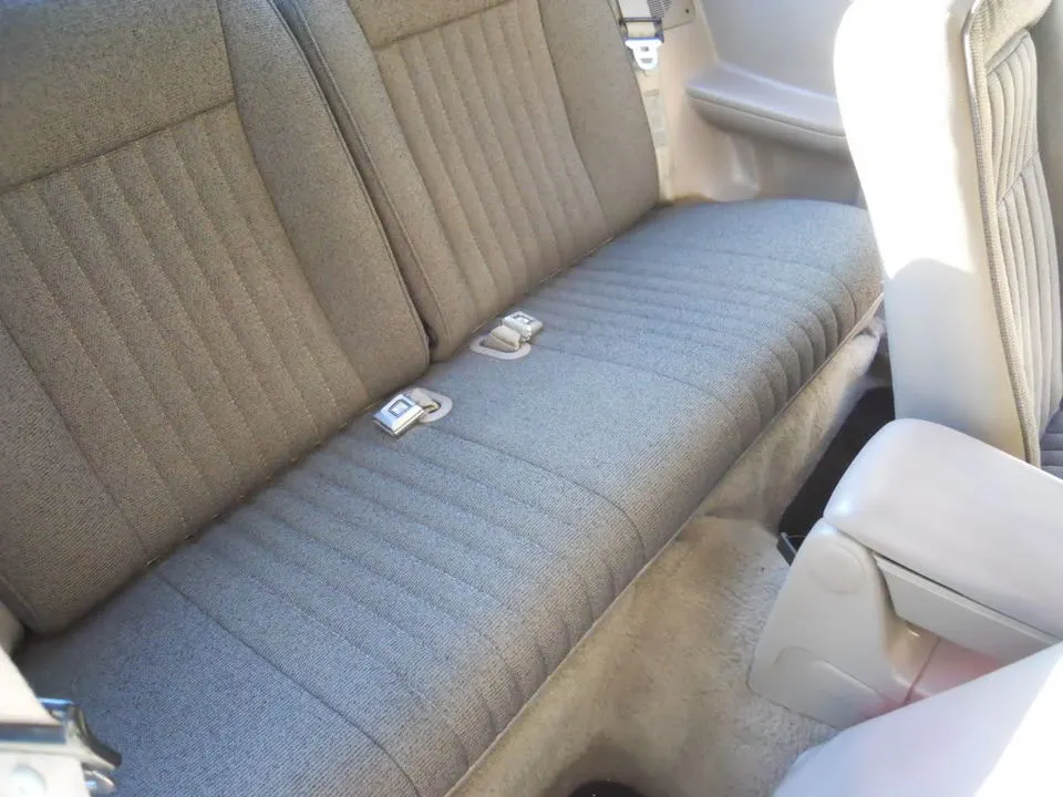 DSCN1099.webp