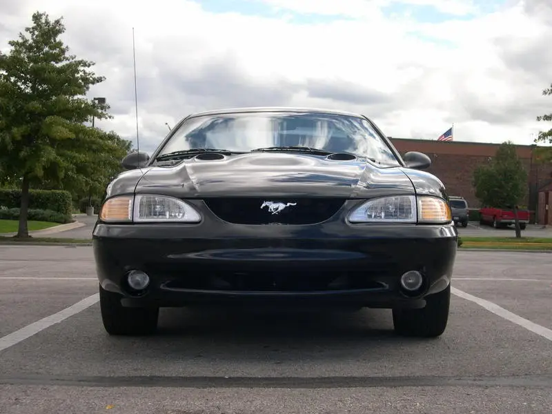 DSCN1116.webp