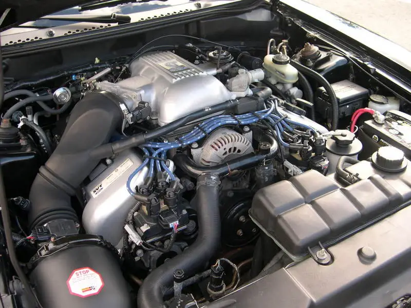 DSCN1126.webp