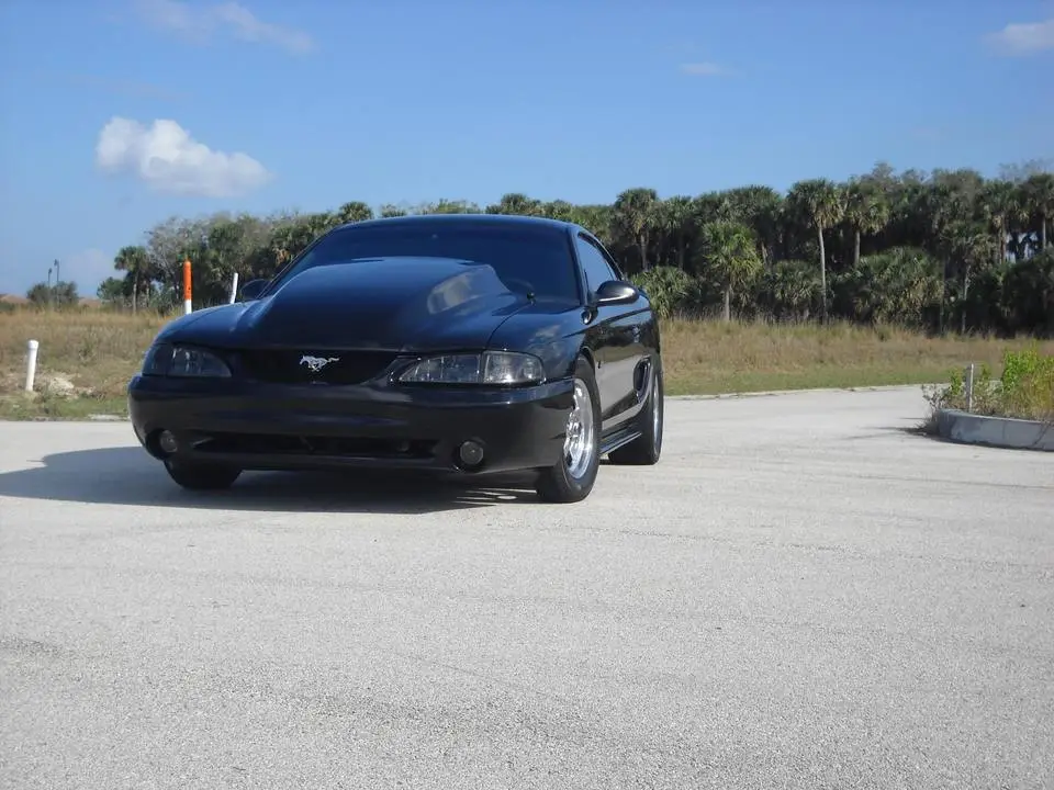 DSCN1174.webp