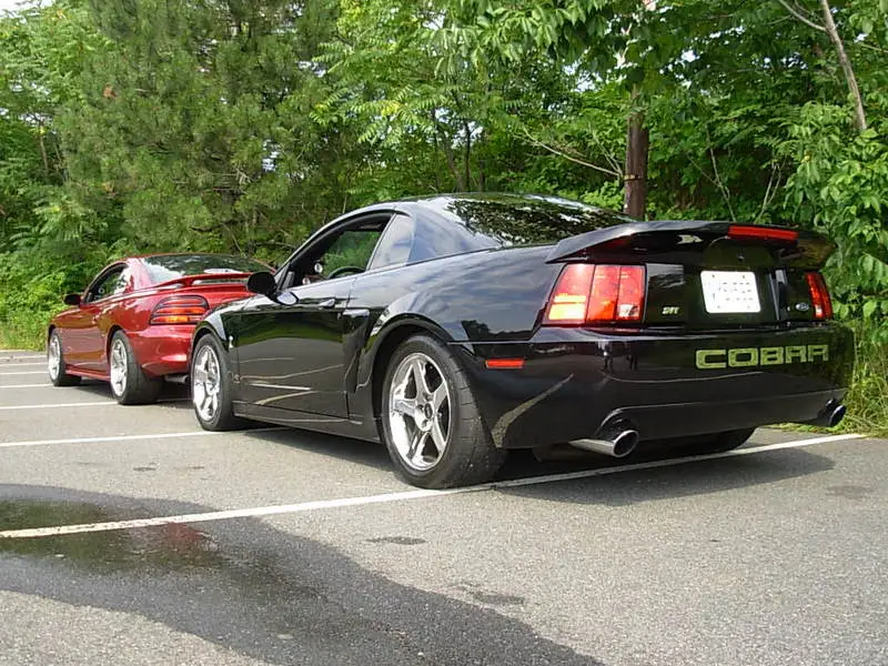 DSCN1175.webp
