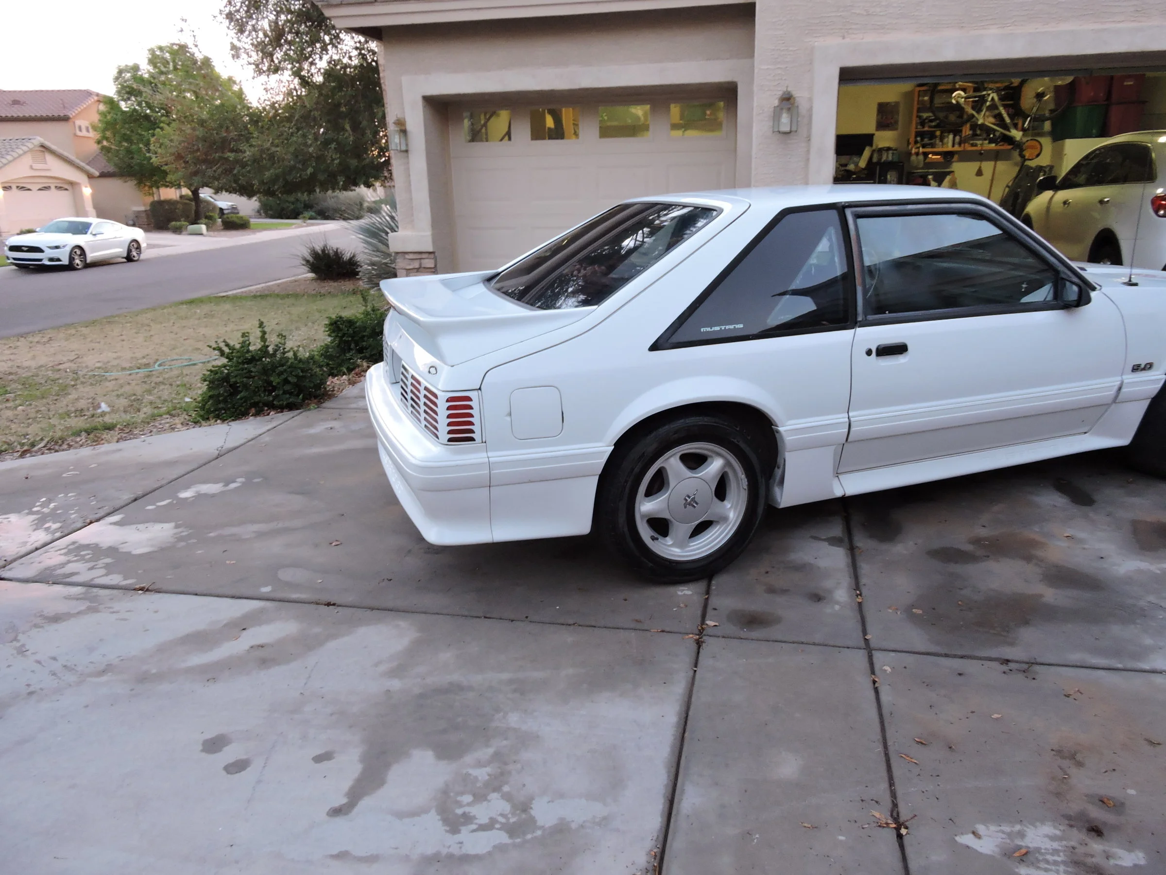 DSCN1194.webp