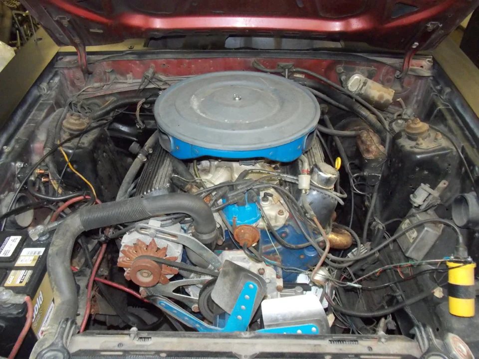 DSCN1204.webp