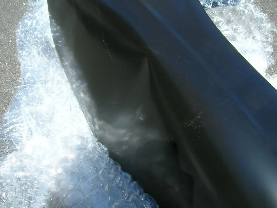 DSCN1208.webp