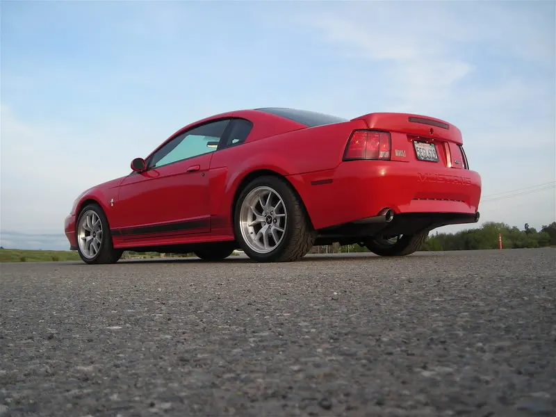 DSCN1215.webp