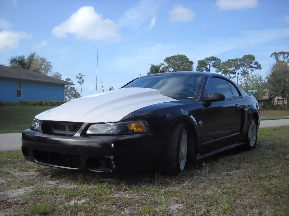 DSCN1217.webp