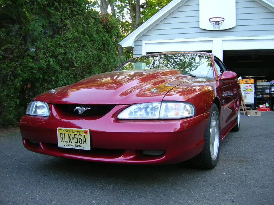 DSCN1232.webp