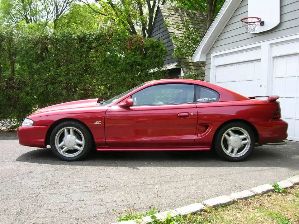 DSCN1246.webp