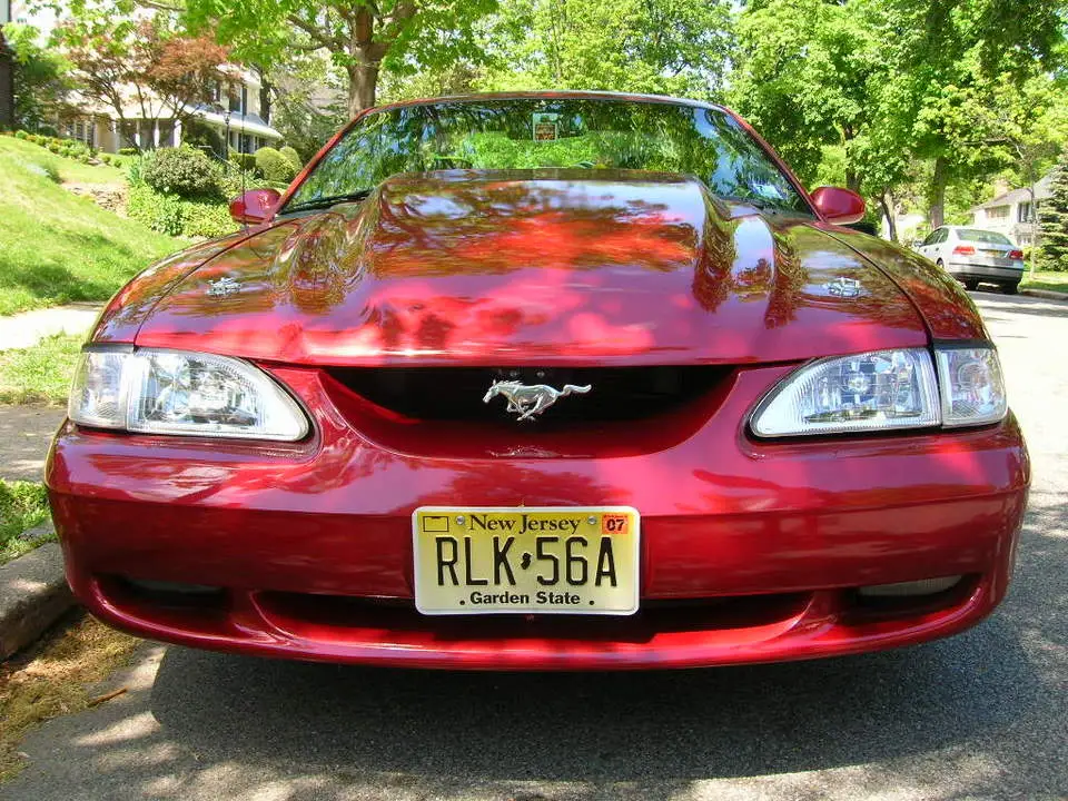 DSCN1256.webp