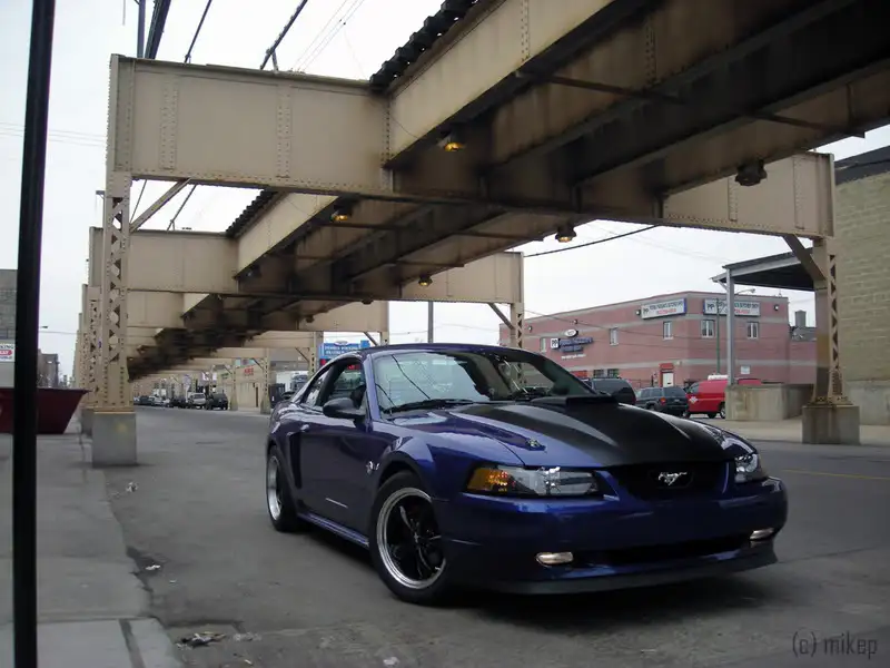 DSCN1275.webp