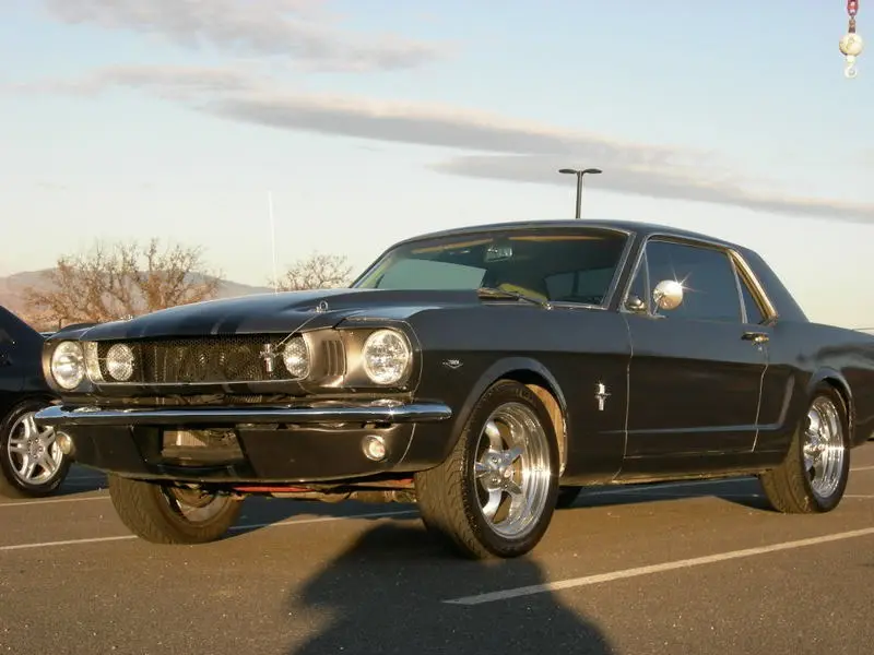 DSCN1275.webp