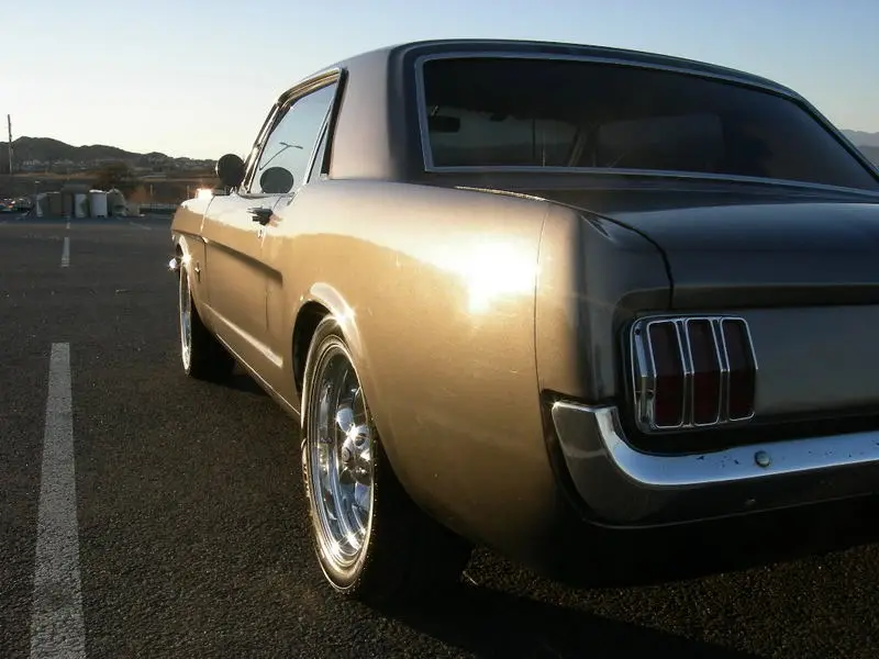 DSCN1287.webp