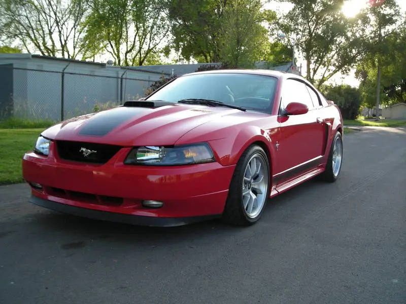 DSCN1320.webp