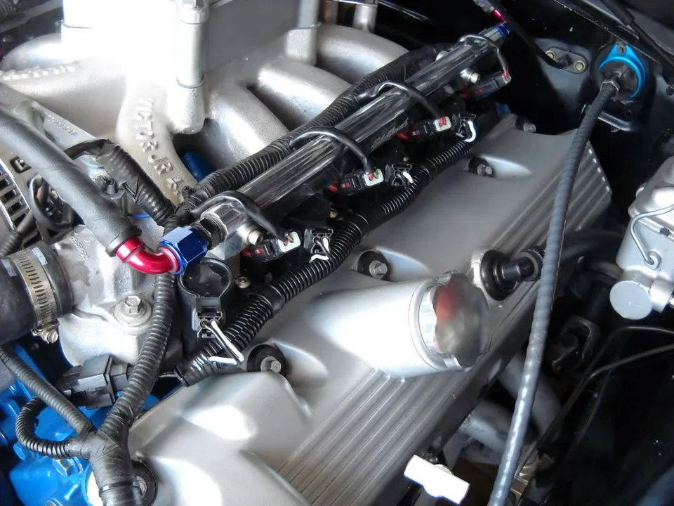DSCN1331.webp
