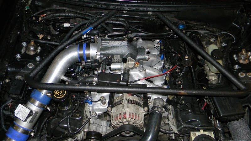DSCN1364.webp