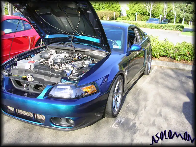 DSCN13981.webp