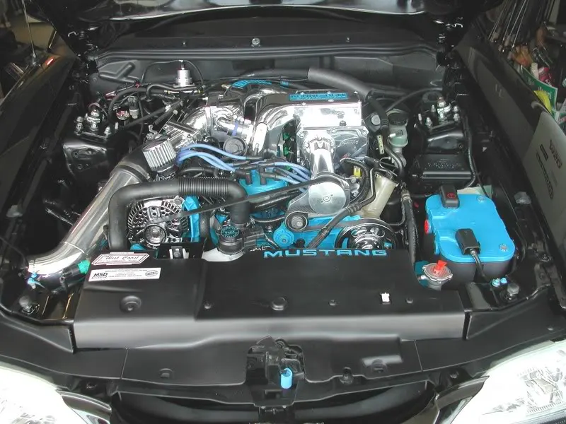 DSCN1400.webp