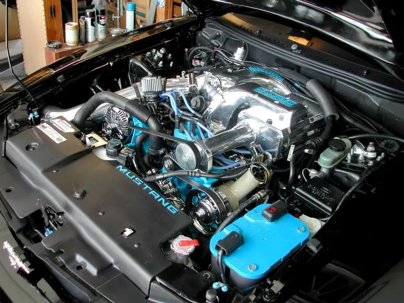 DSCN1401.webp