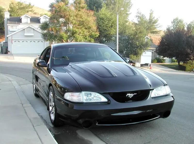 DSCN1414.webp
