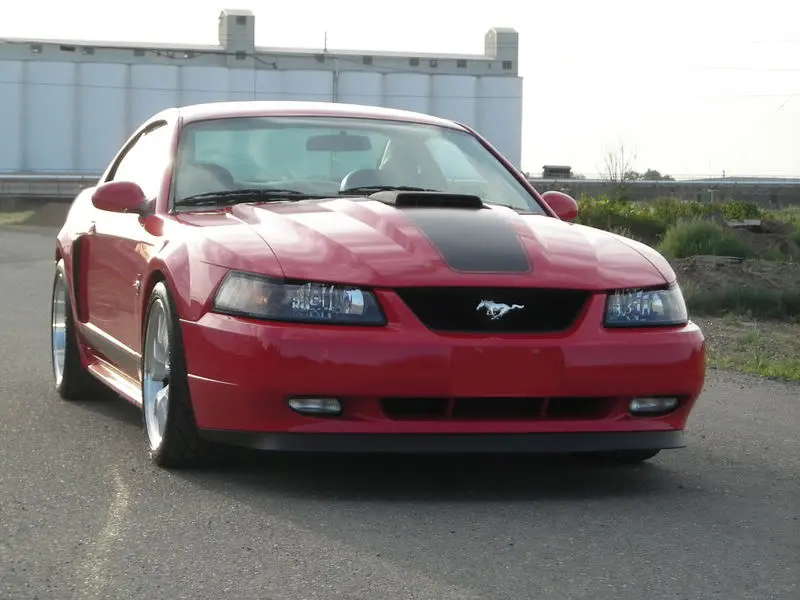 DSCN1419.webp